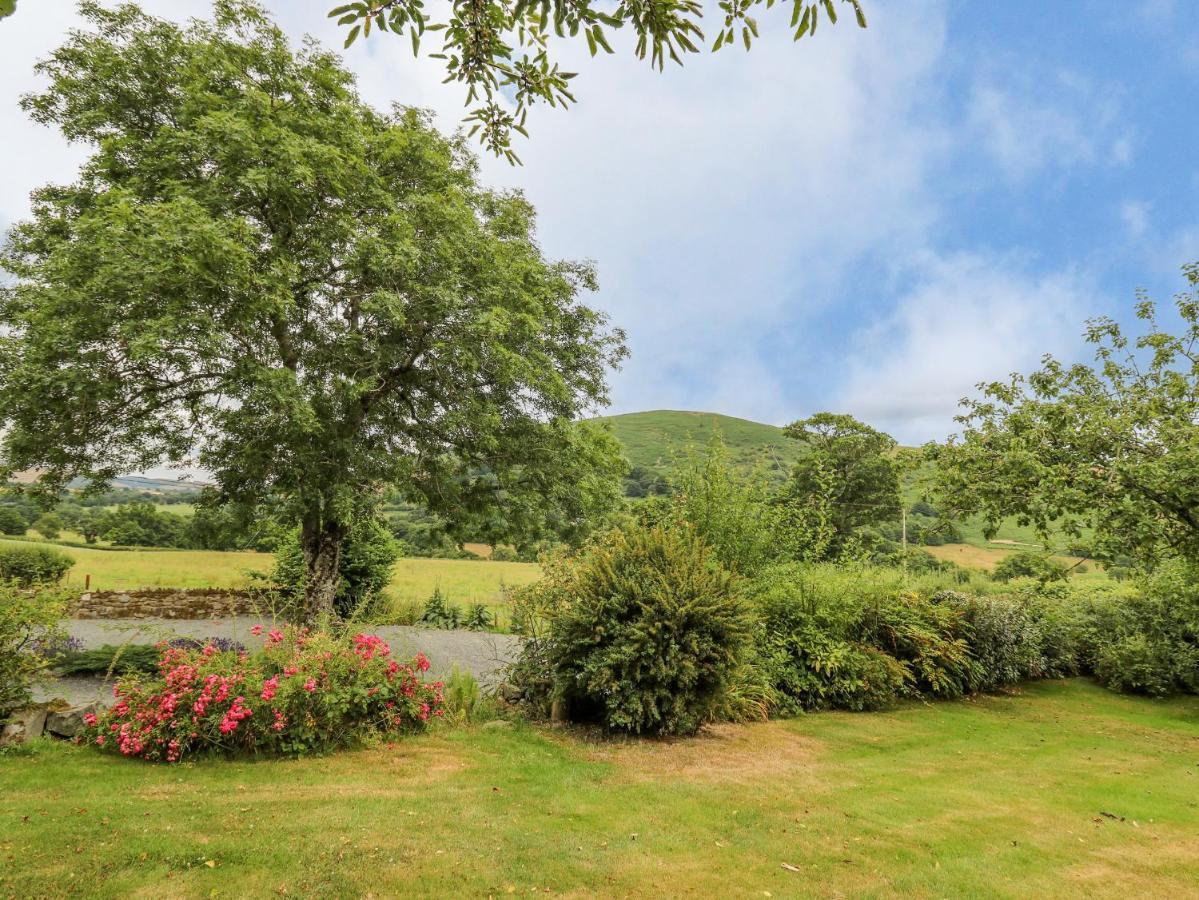 Byrdir Cottage Llanwrthwl Экстерьер фото